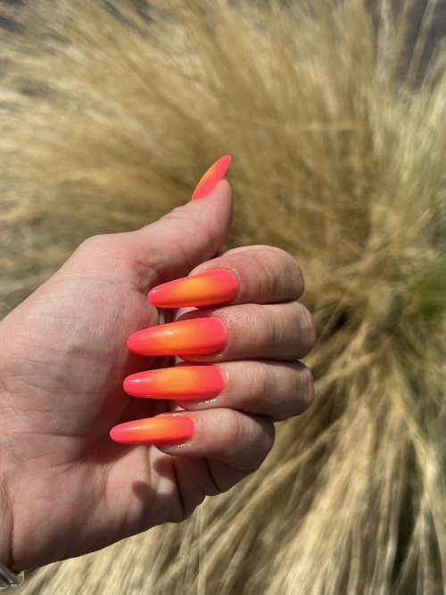 C30F2331-C4F6-492C-81BB-2F7E8A7D7868